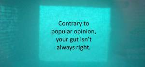 Your Gut