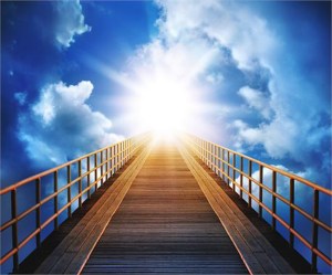 888621FC-9E1F-444F-A679-DDCAA4545182