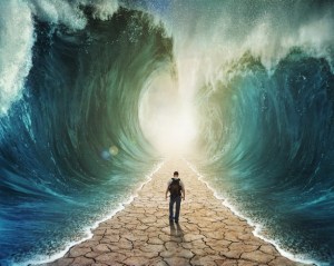 B60213CE-31CF-4009-A7FE-2164C61B9FE9