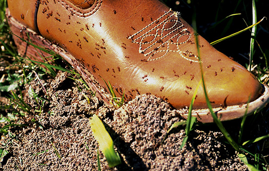 C907B7FF-80CB-47C6-AF70-327511674DF9