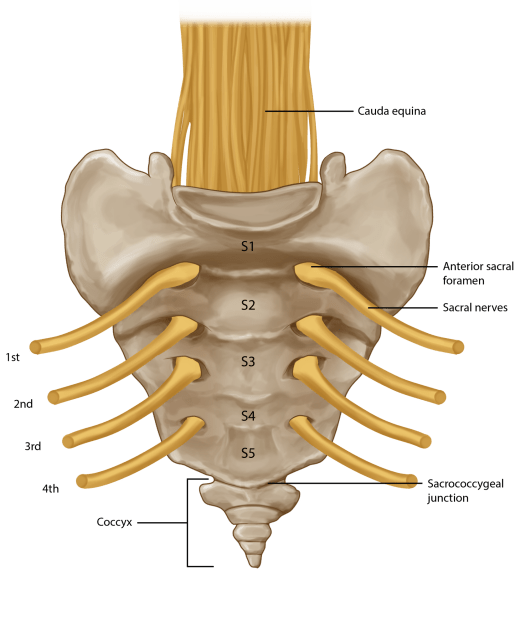 DA164C94-6BDB-485E-9753-75957C3C902A