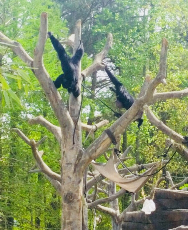 F9CABB3C-3512-4A38-9FAB-8E7CBBFCBAED