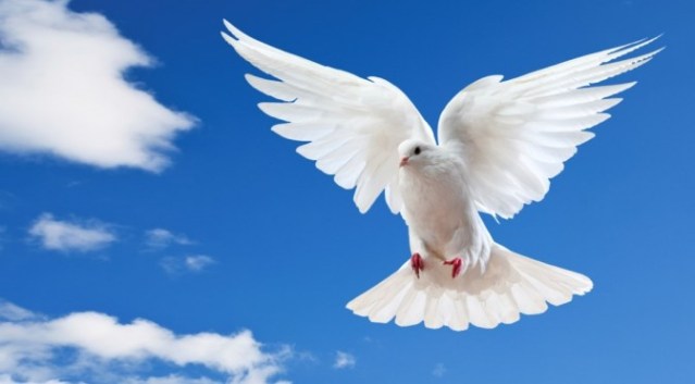 0A605E33-B49D-439C-B337-53C3E0270D77