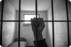 81500DC1-98BE-40F1-8B01-DE660D75D539