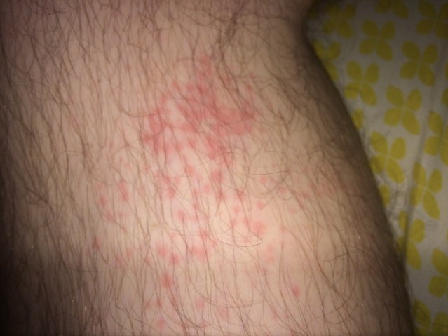 14E819E4-AACF-4412-9D2A-2ECB0C15C27D