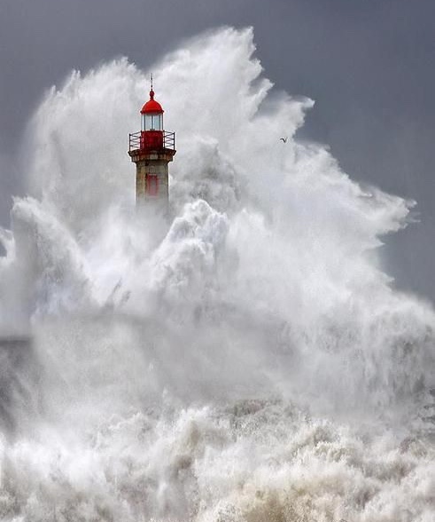 2DC09340-61E2-4168-93EC-93BF5CB19817