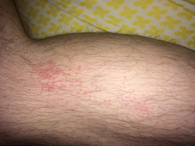 E40E07E8-9ED1-41A6-AA43-6463AE2B7739